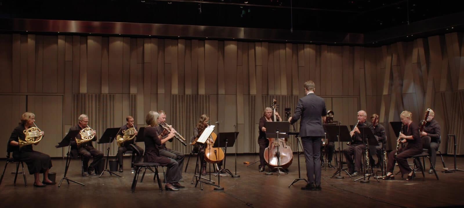 Uppsala Kammarorkester under konsert